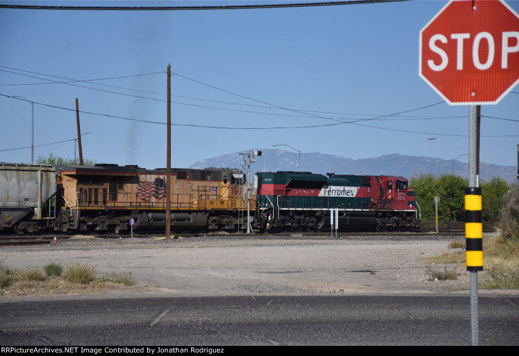 FXE 4019
